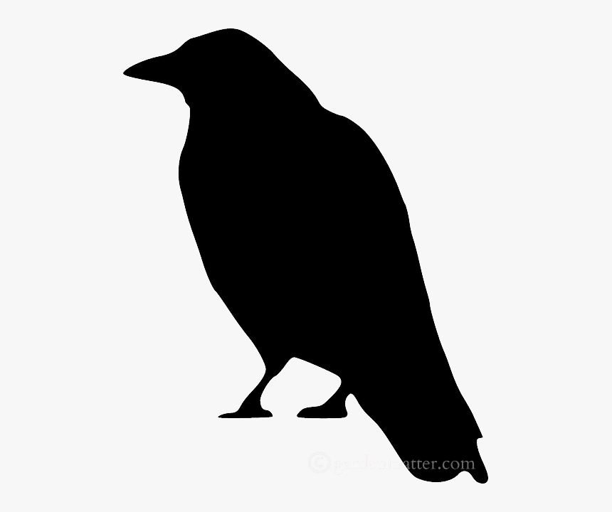 Scary Bird Silhouette For Halloween - Crow Clip Art, HD Png Download, Free Download