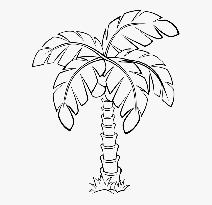 Sabal Palm Palm Trees Flowering Plant Drawing Cc0 - Sabal Palm Tree Drawing, HD Png Download, Free Download