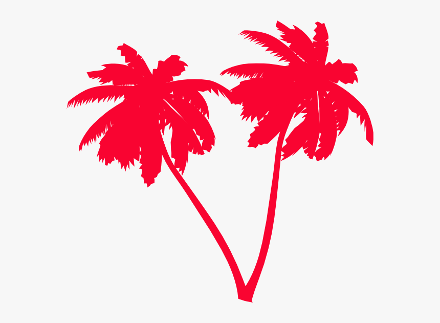 Palm Tree Vector Png, Transparent Png, Free Download