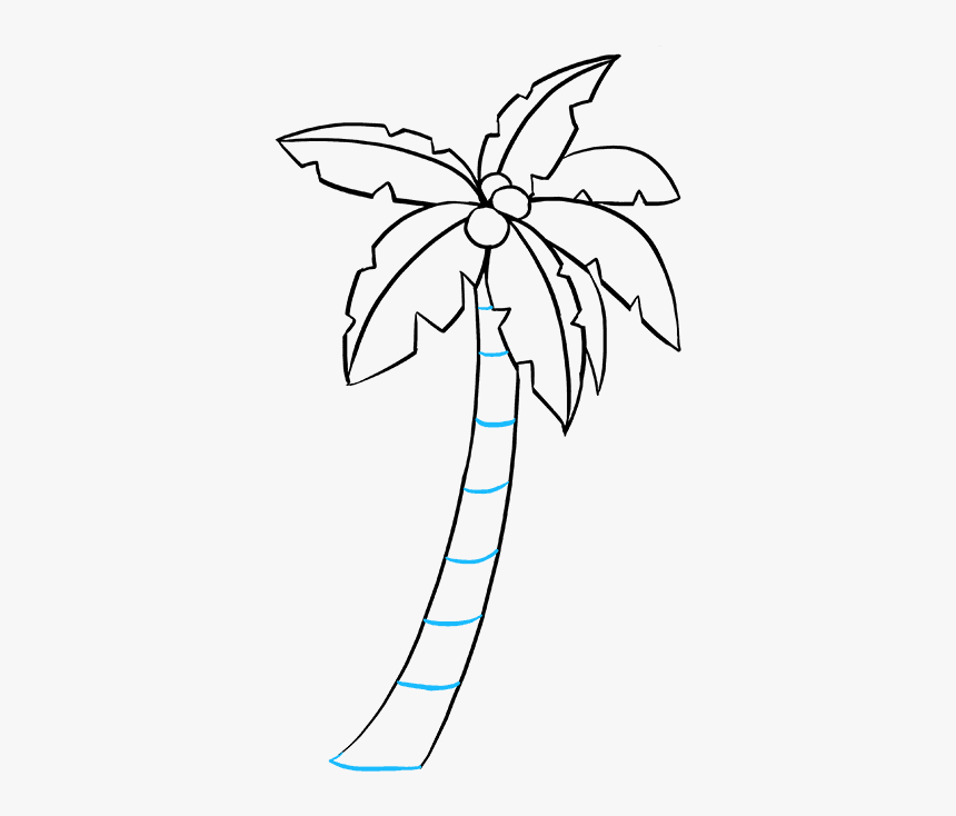 How To Draw Palm Tree - Simple Palm Tree Drawing Easy, HD Png Download, Free Download