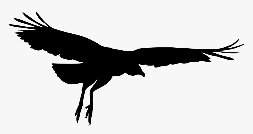 Transparent Walking Away Silhouette Png - Birds Transparent Silhouette Png, Png Download, Free Download