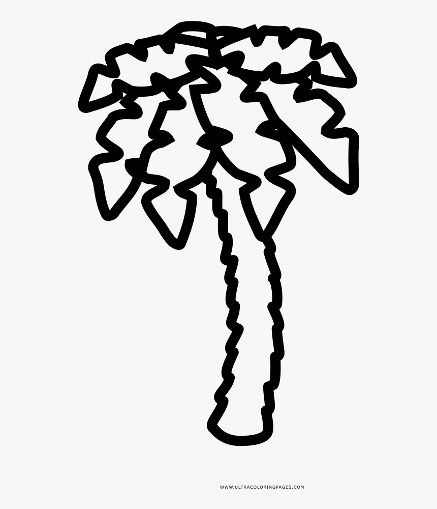 Palm Tree Coloring Page, HD Png Download, Free Download