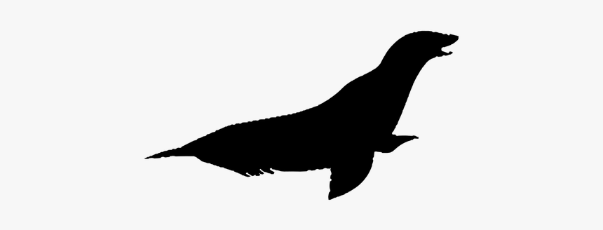 Sea Lion Silhouette - Silueta Del Lobo De Mar, HD Png Download, Free Download