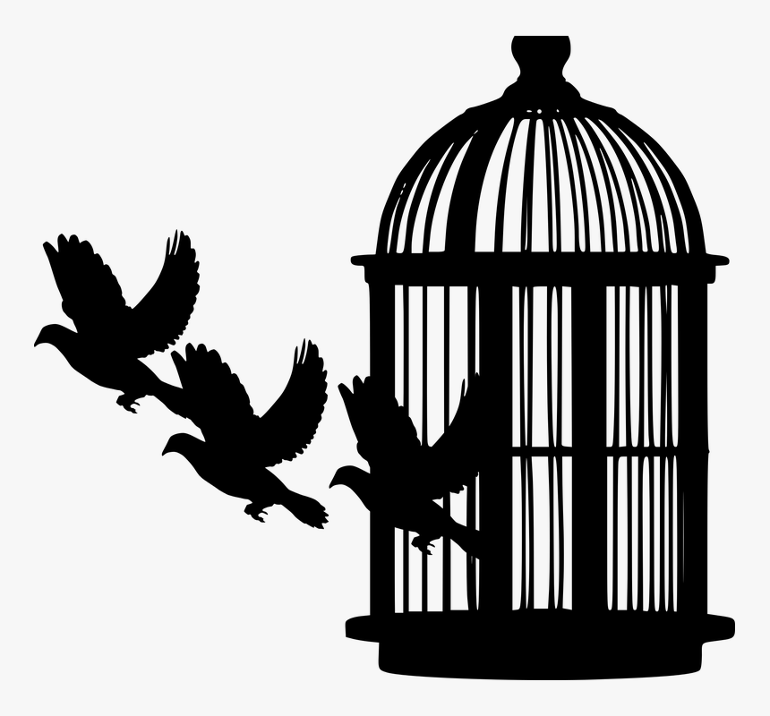 Cage Without A Bird, HD Png Download, Free Download