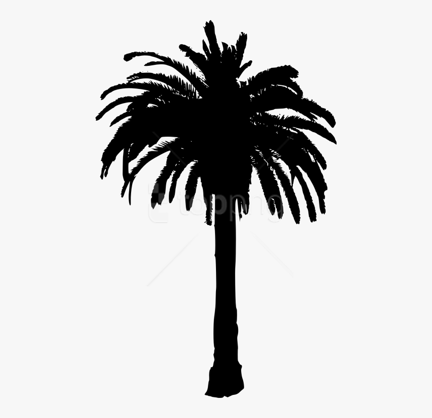 Palm-tree - Date Palm Tree Silhouette, HD Png Download, Free Download