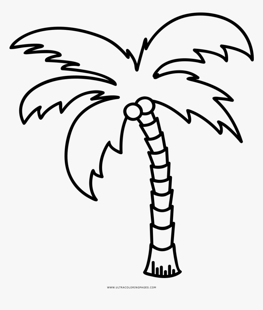 Get Coloring Page Of Palm Tree Background