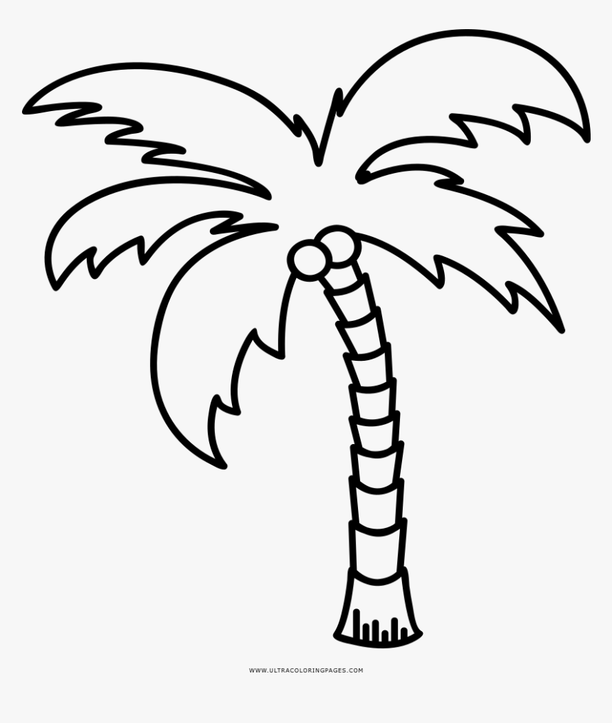 Palm Tree Coloring Page - Palm Tree Line Art, HD Png Download - kindpng