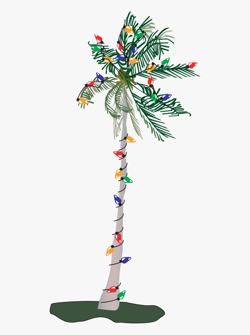 Christmas Palm Tree Png, Transparent Png, Free Download