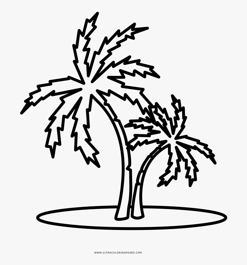 Palm Tree Coloring Page - Illustration, HD Png Download, Free Download