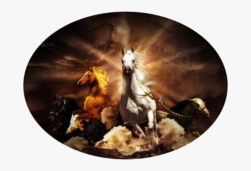 Horses - Vision Of Zechariah Chapter 5, HD Png Download, Free Download