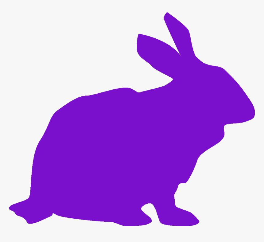 Transparent Rabbit Icon Png - Domestic Rabbit, Png Download, Free Download