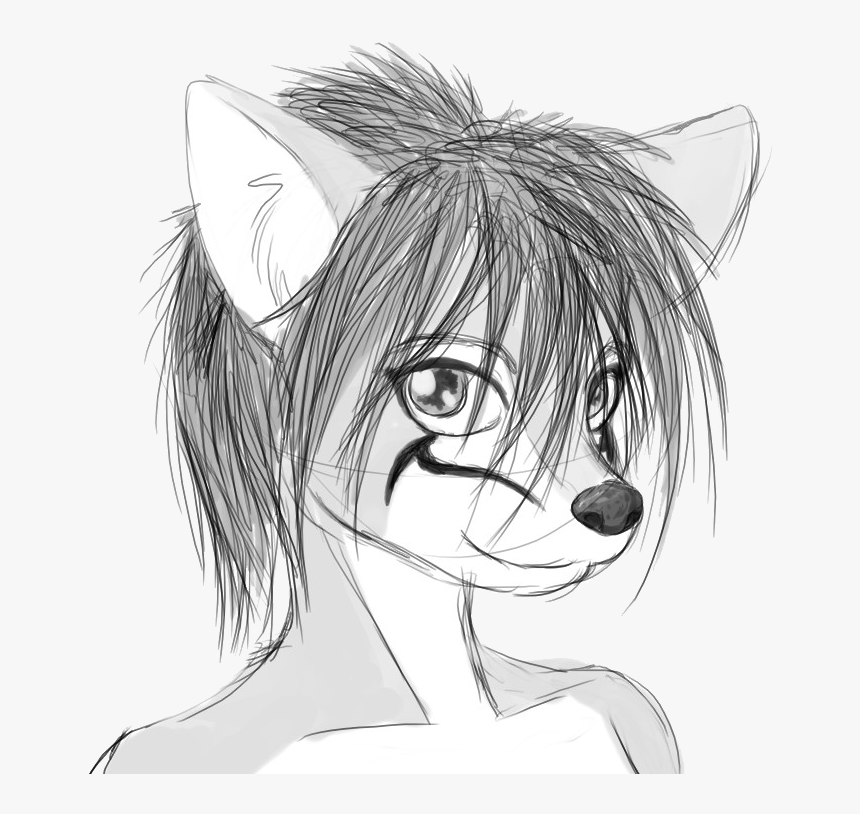 Anthro Vixen - Animal Human Drawing Easy, HD Png Download, Free Download