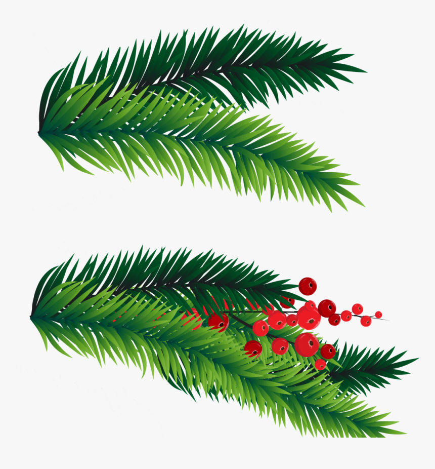 Transparent Leaf Clipart Png - Christmas Tree Branch Png, Png Download, Free Download