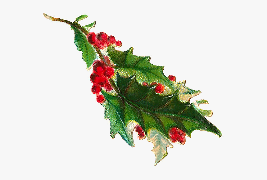 Free Christmas Clip Art - Vintage Christmas Holly Png, Transparent Png, Free Download