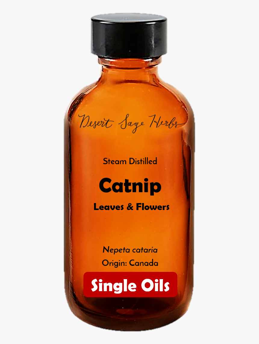 Catnip, HD Png Download, Free Download