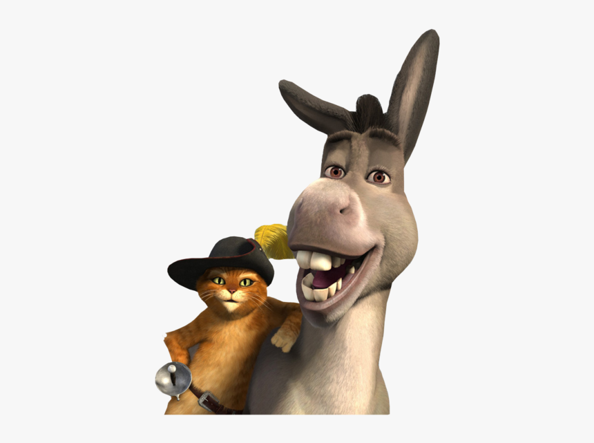 Donkey And Cat Shrek, HD Png Download, Free Download