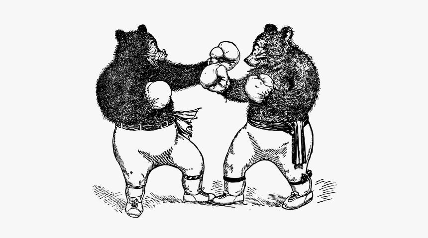 Boxing Bears Vector - Bear With Boxing Gloves, HD Png Download, Free Download