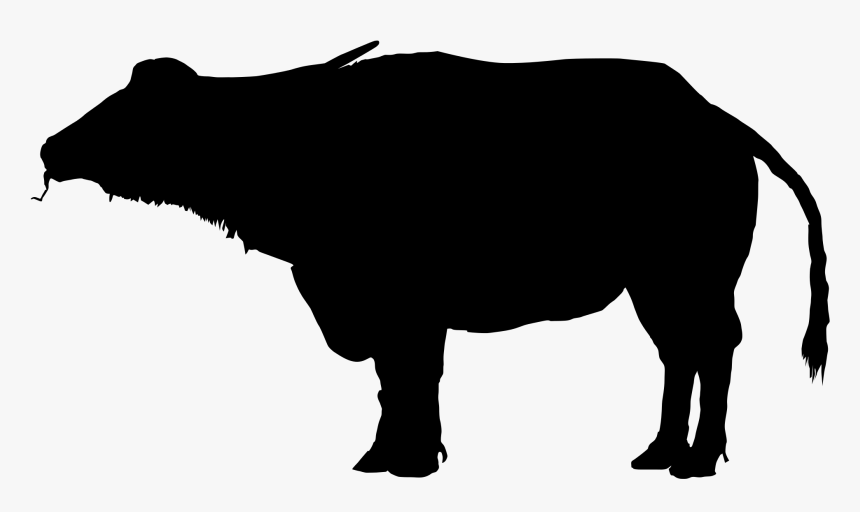 Transparent Baby Silhouette Png - Buffalo Clipart, Png Download, Free Download