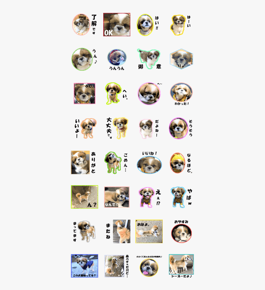 Shih Tzu Photo Sticker - Sticker, HD Png Download, Free Download