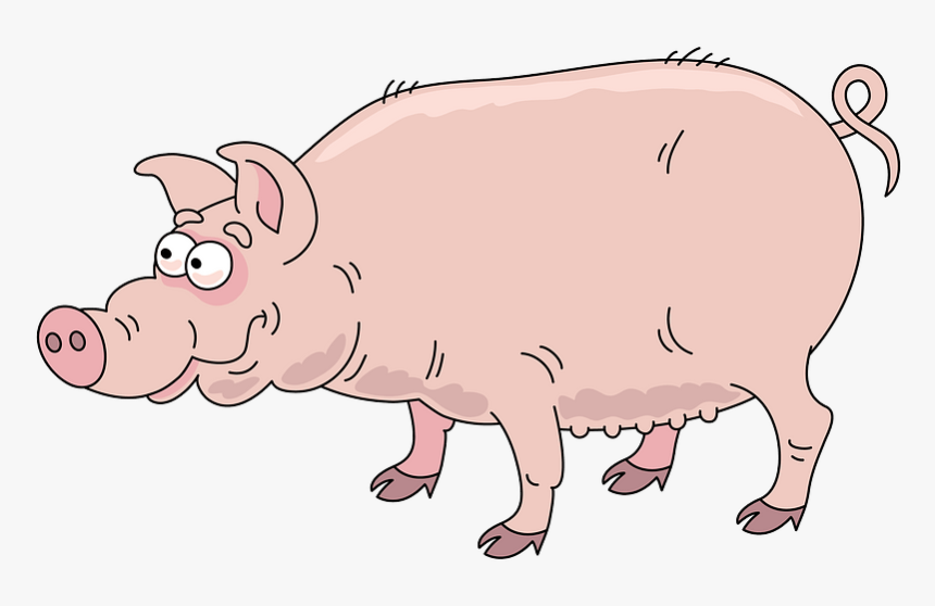 Pig Clipart - Domestic Pig, HD Png Download, Free Download