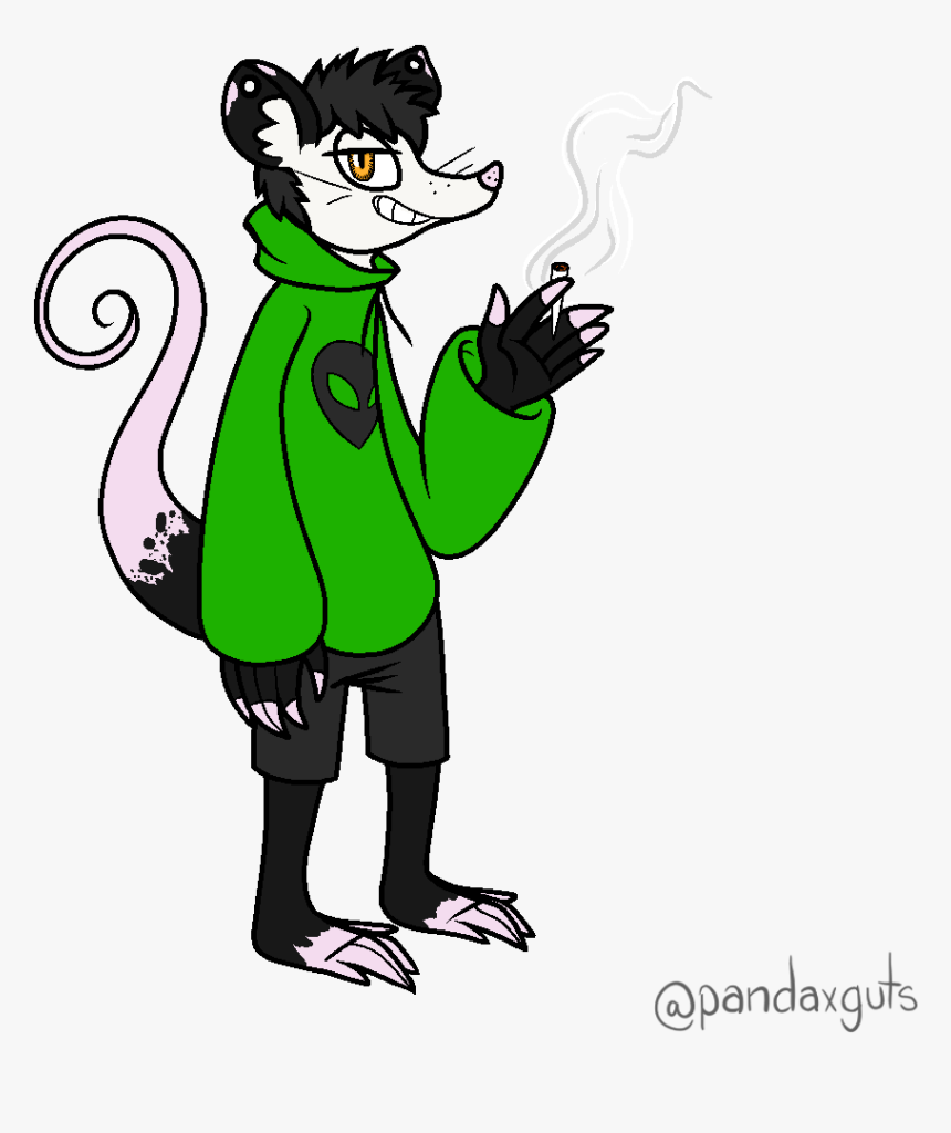 Alex The Possum - Furry Possum Art, HD Png Download, Free Download