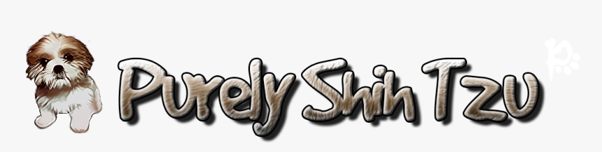 Calligraphy, HD Png Download, Free Download