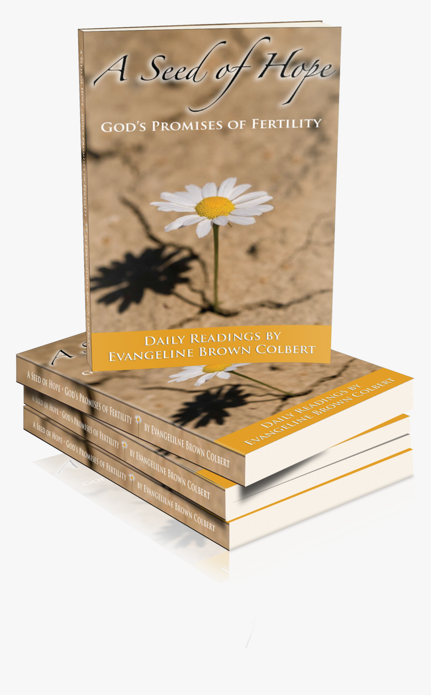 Ash Cover Stack Fiverr - Camomile, HD Png Download, Free Download