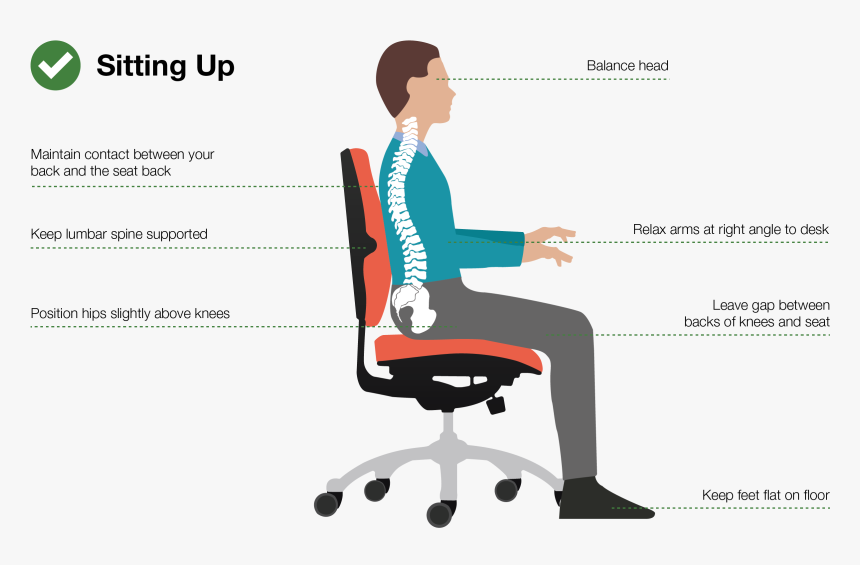 Good Posture Manual Handling Office Desk , Png Download - Correct Chair Posture, Transparent Png, Free Download