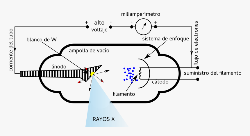 Images/tubo Cw - Produccion De Rayos X, HD Png Download, Free Download