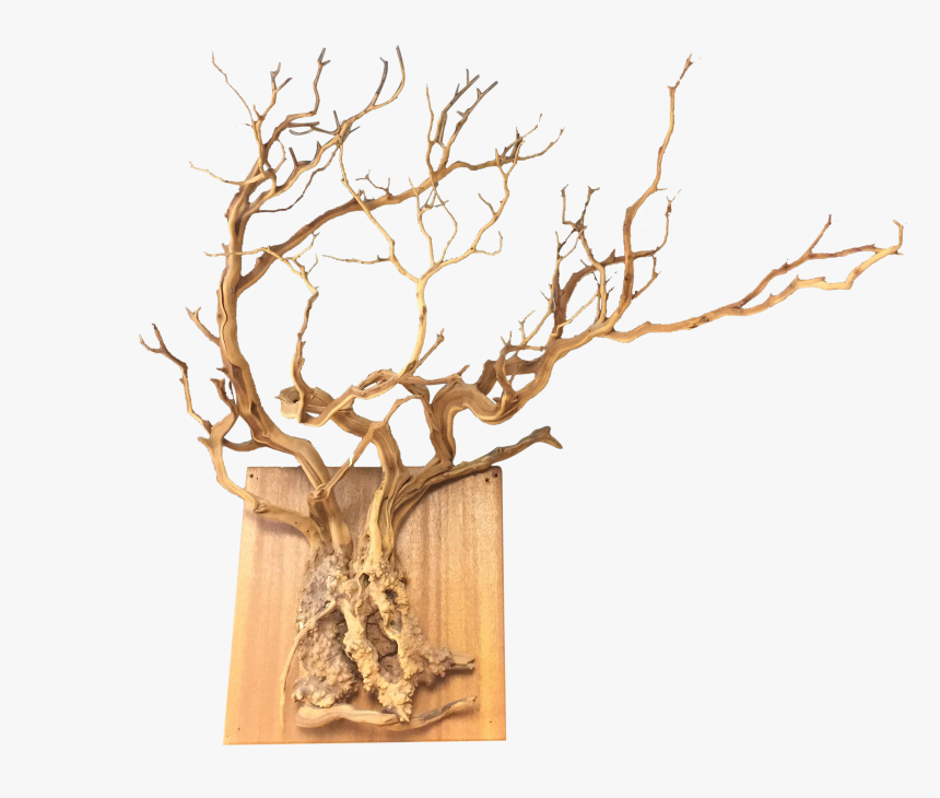 Natural Sprawling Tree Root Wall Hanging Chairish - Wood, HD Png Download, Free Download