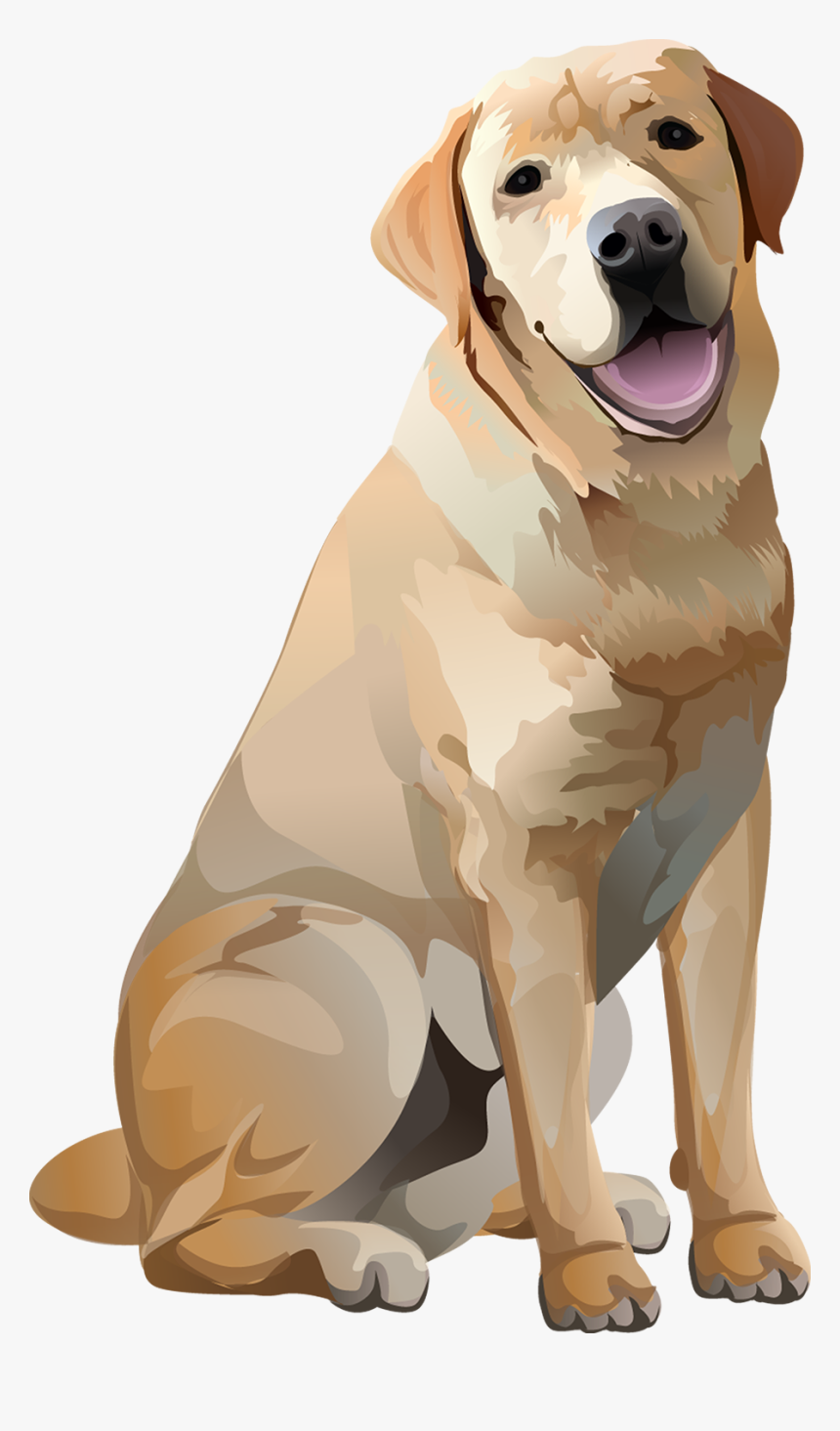 Yellow Lab - Tshirt - Vibrant Vector - Animal Den - Labrador Vector, HD Png Download, Free Download