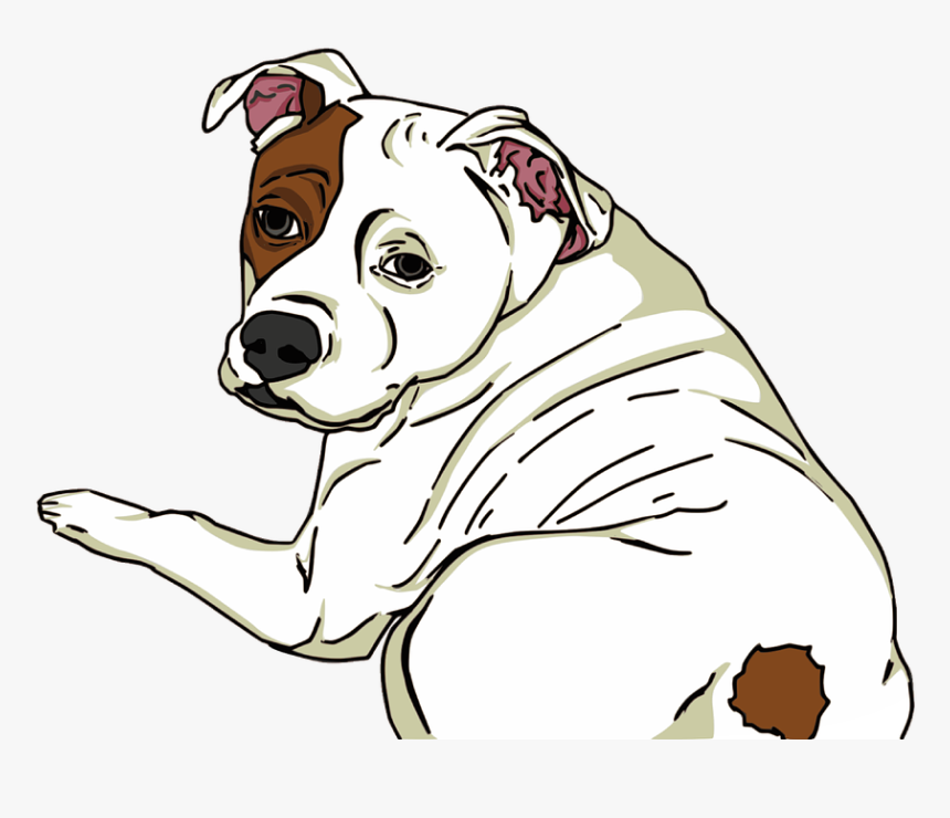 Clip Art Pitbull Drawing, HD Png Download, Free Download