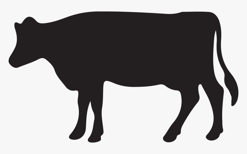 Cattle, HD Png Download, Free Download