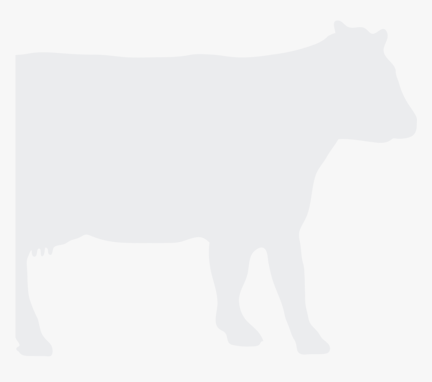 Cattle , Png Download, Transparent Png, Free Download