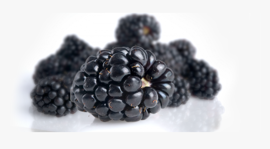 Blackberry , Png Download - Blackberry, Transparent Png, Free Download