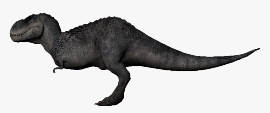 Drawn Tyrannosaurus Rex V Rex - Tyrannosaurus Rex Side View, HD Png Download, Free Download