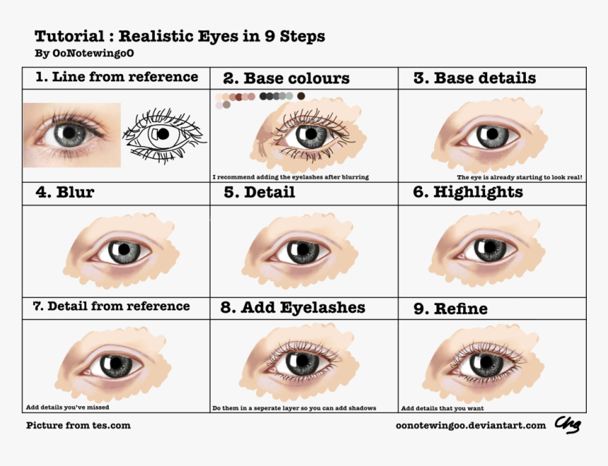 Drawing Eyes Realistic - Cartoon Realistic Eyes, HD Png Download, Free Download