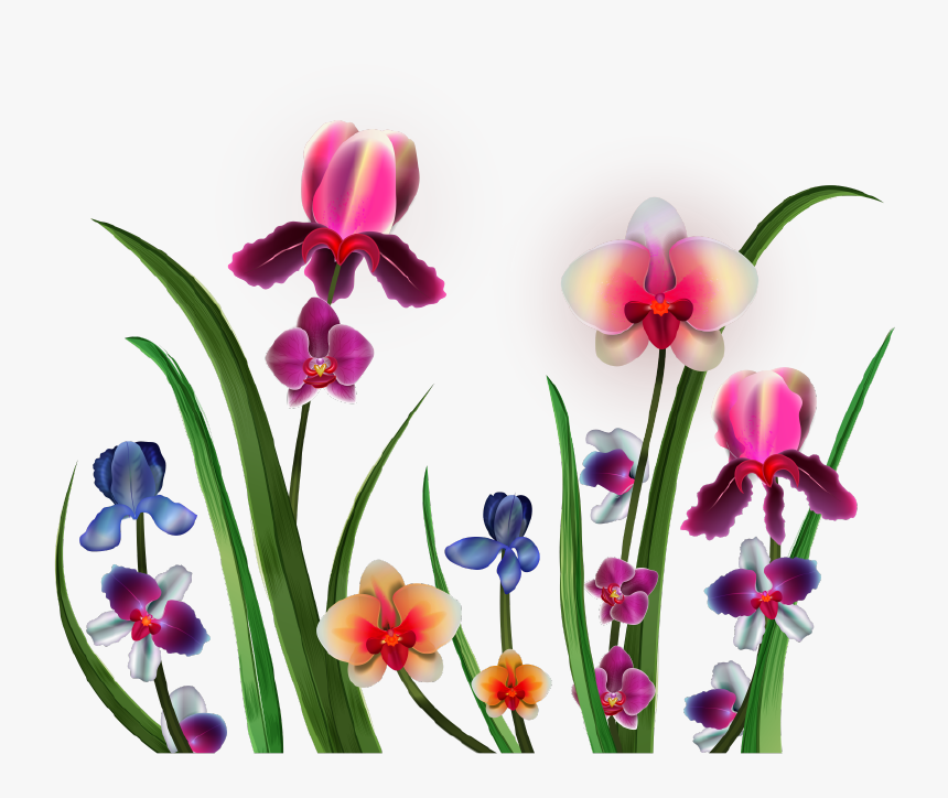 Png Клипарт "realistic Vector Delicate Orchids - Orchids, Transparent Png, Free Download