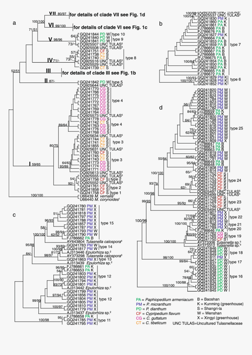 Diagram, HD Png Download, Free Download