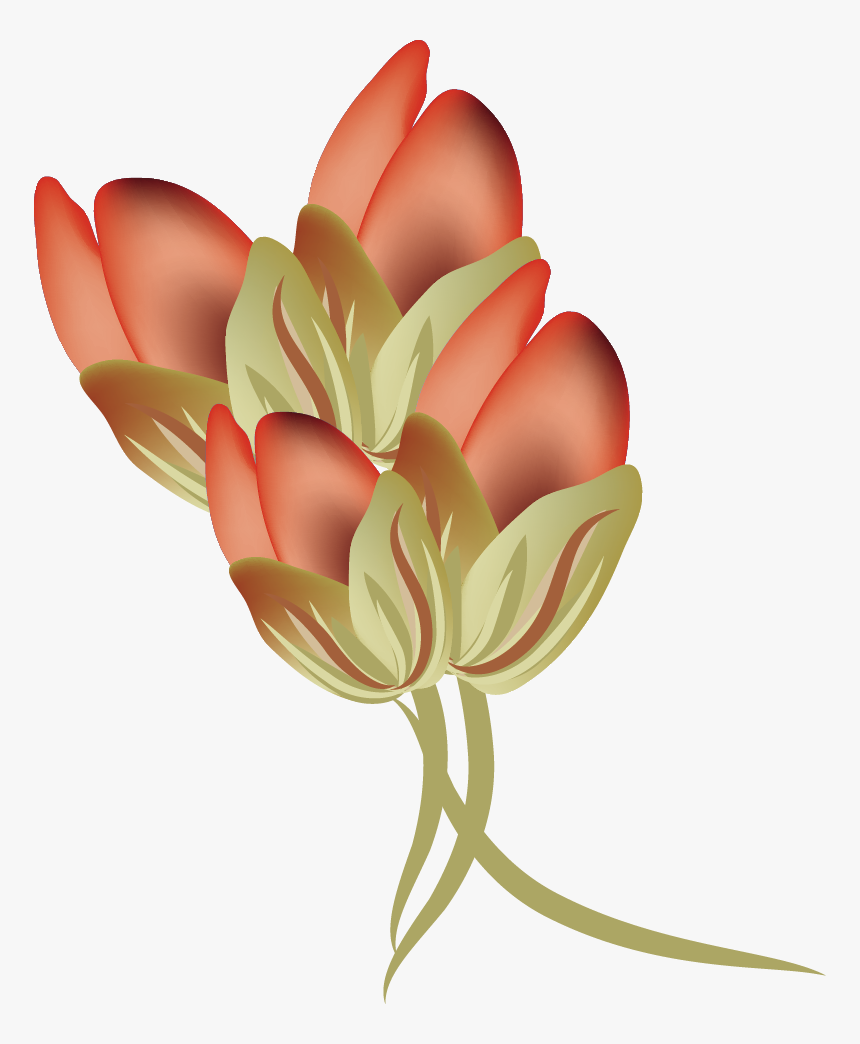 Vector Rose Bud 792*964 Transprent Png Free Download - Fire Lily, Transparent Png, Free Download