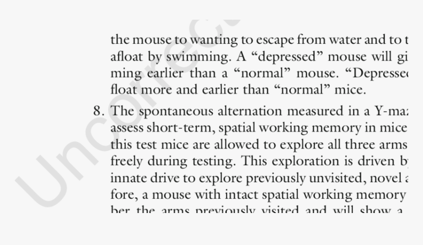 Positioning Statement, HD Png Download, Free Download