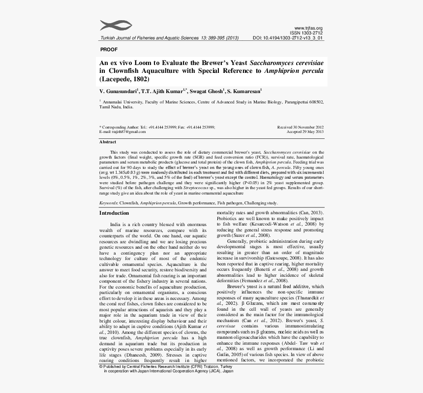 Document, HD Png Download, Free Download