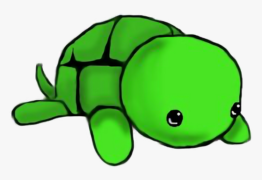 how to draw a cute turtle