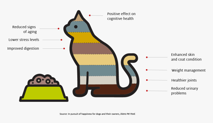 Some Behavioral Criteria Used To Assess Dog Food Performance, HD Png Download, Free Download