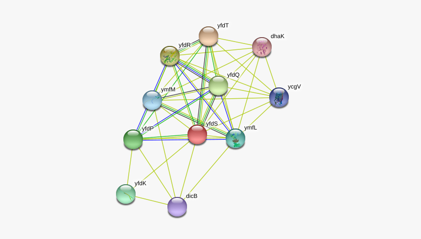 Yfds Protein - Ferris Wheel, HD Png Download, Free Download