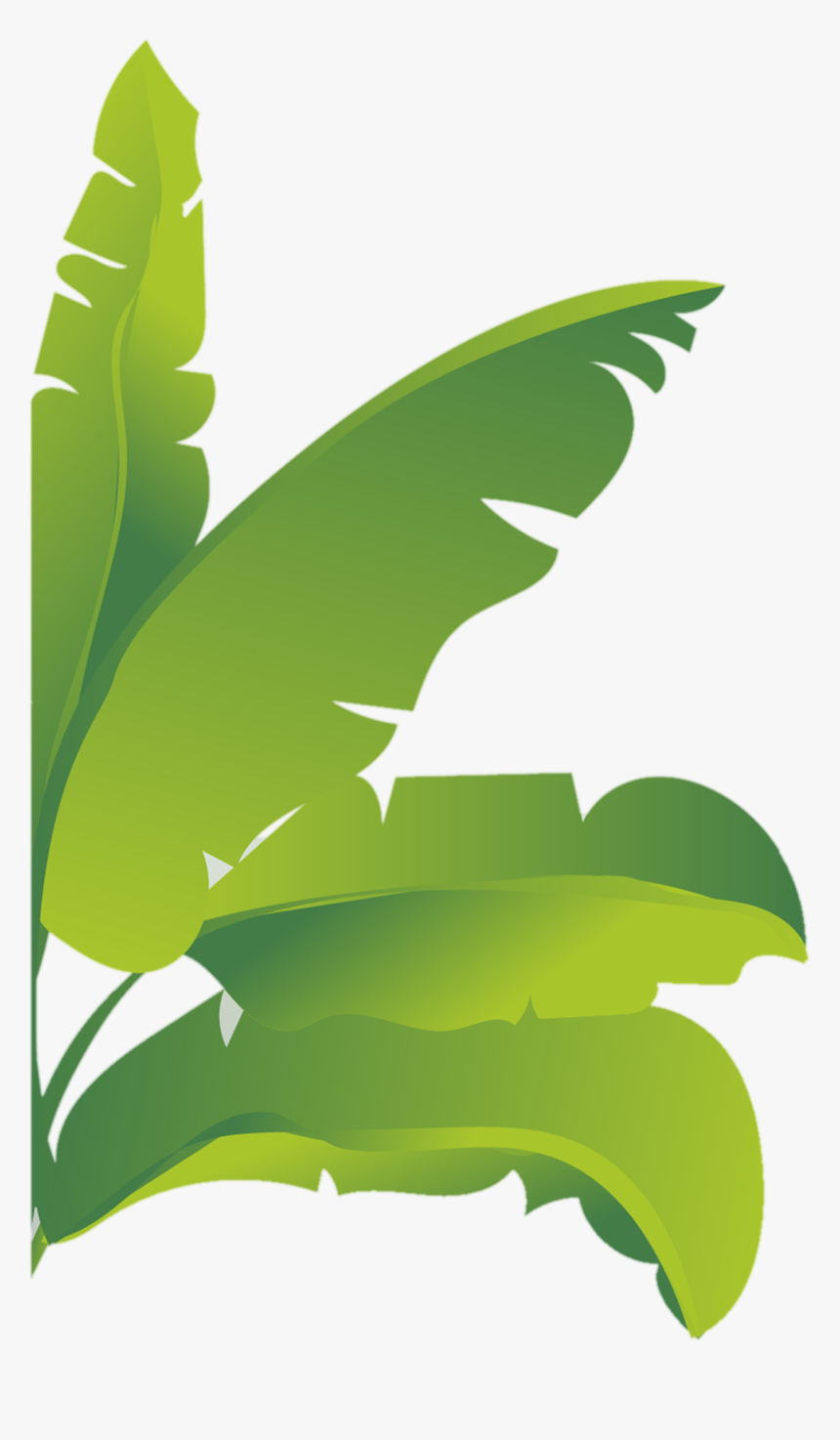 Banna Leaf Png - Illustration, Transparent Png, Free Download