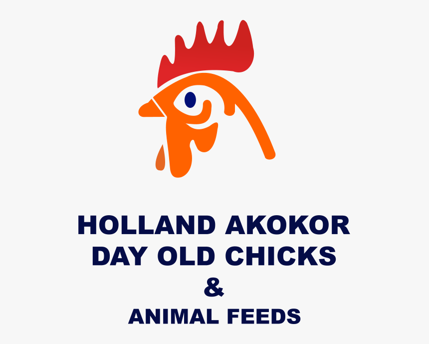 Holland Akokor Day Old Chicks & Animal Feed - Lascaux International Center Of Art Parietal, HD Png Download, Free Download