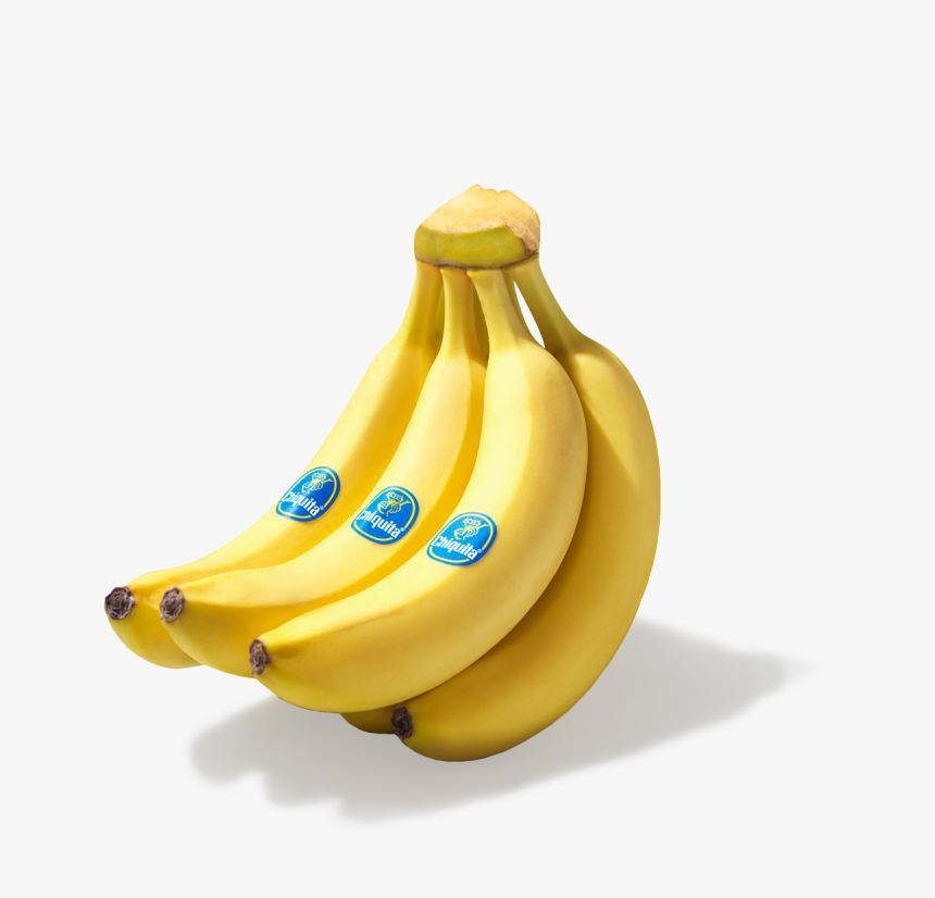 B-day Chiquita Fruits Banana - Saba Banana, HD Png Download, Free Download