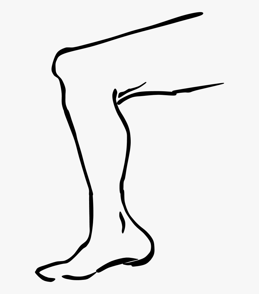 Drawing Leg Clipart, Picture - Leg Clipart Black And White, HD Png Download, Free Download
