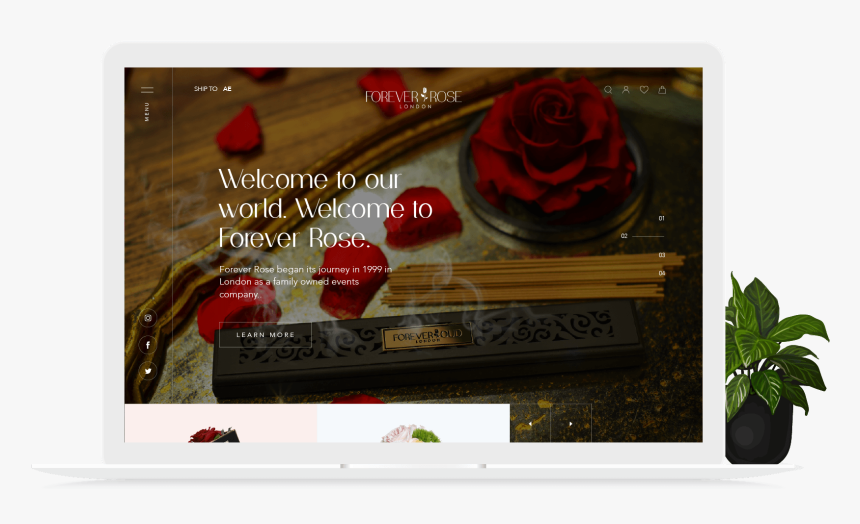 Forever Roses Homepage - Garden Roses, HD Png Download, Free Download